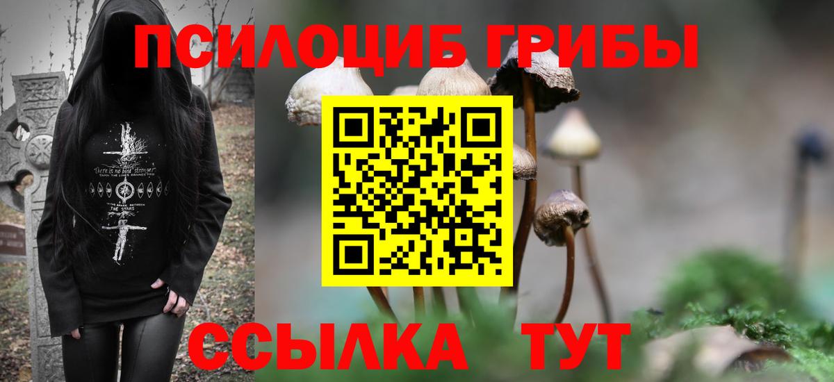 Черкесск  Галлюциногенные грибы мухоморы  Вход с VPN 